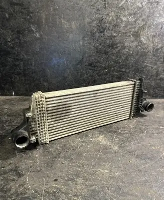 Mercedes-Benz ML W164 Intercooler radiator A1645001900