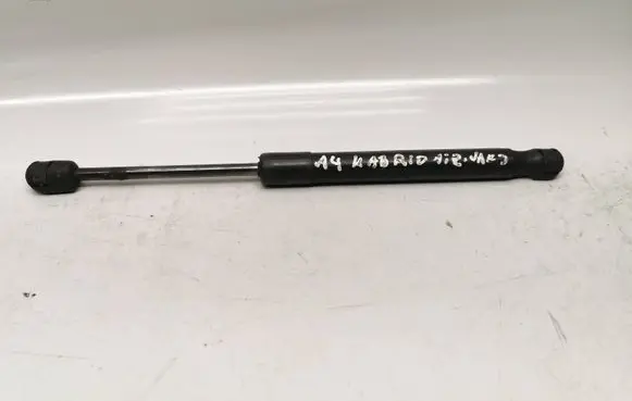Tailgate/trunk strut/damper