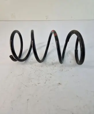 Front coil spring