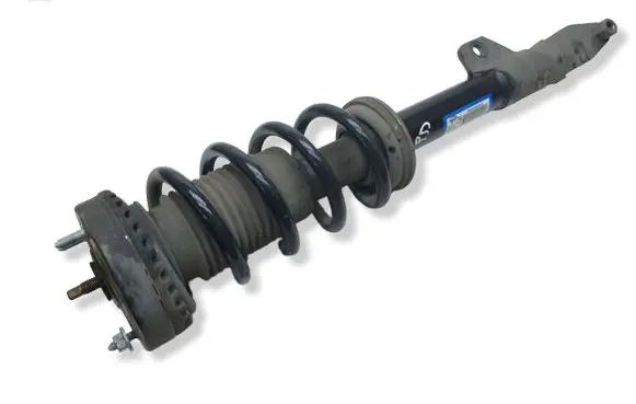 Dodge Charger Front shock absorber with coil spring P68072062AE