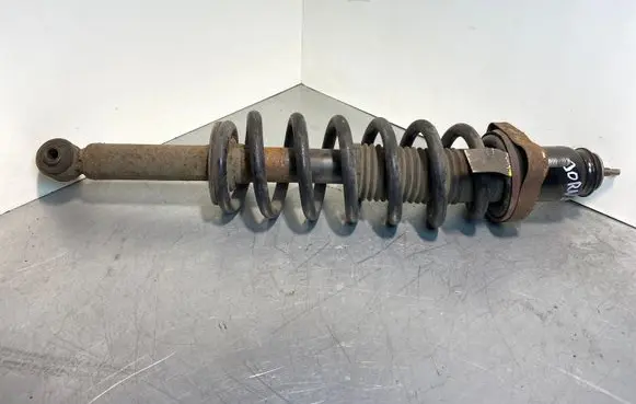 Dodge Journey Rear shock absorber/damper