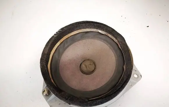 Front door speaker