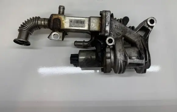 Renault Scenic II - Grand scenic II EGR valve cooler 50006603 161003 043912