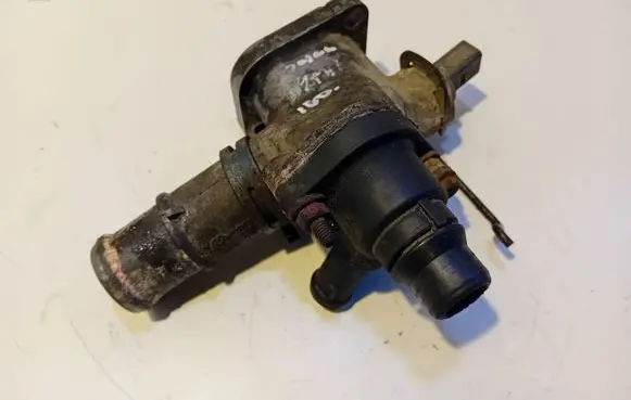 Thermostat/thermostat housing