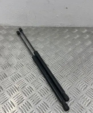 Opel Insignia A Tailgate/trunk strut/damper 13332570 315005777 0317860660N