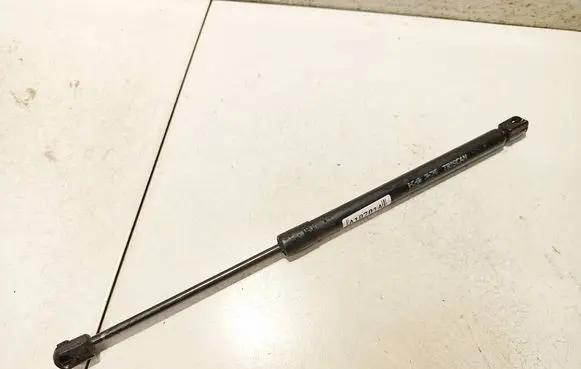 Tailgate/trunk strut/damper