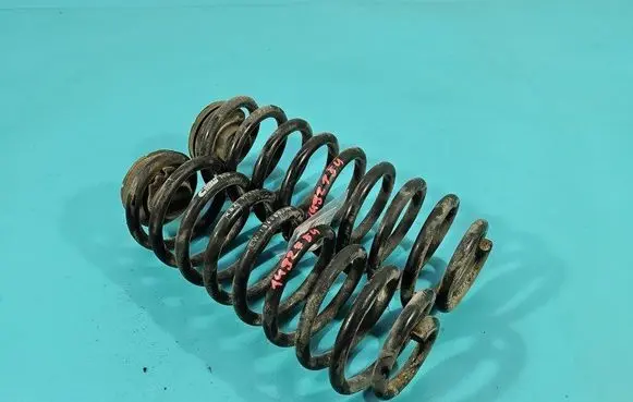 Rear coil spring