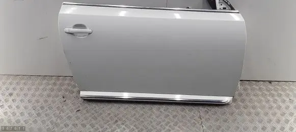 Volkswagen Beetle A5 Front door