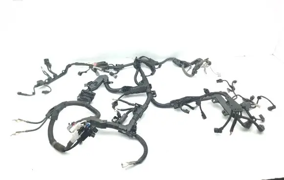 Engine installation wiring loom