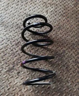 Ford Focus Front coil spring