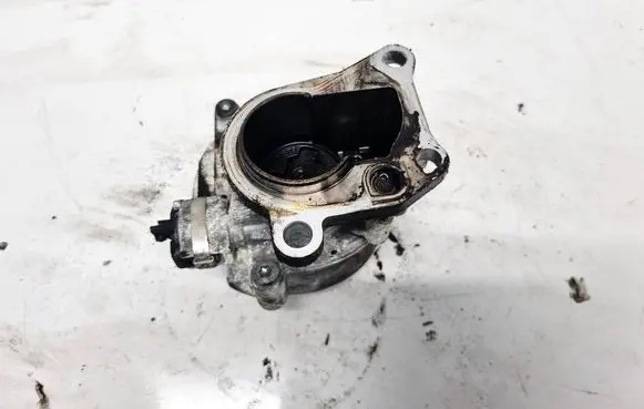 Suzuki Grand Vitara II Vacuum pump D163
