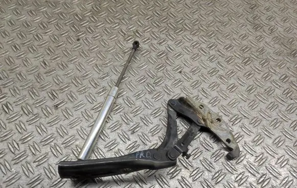 Volkswagen Phaeton Engine bonnet/hood hinges 3D0823302D
