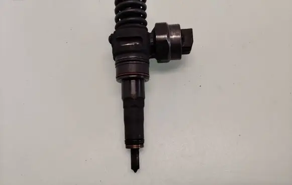 Volkswagen Sharan Fuel injector 38130073F
