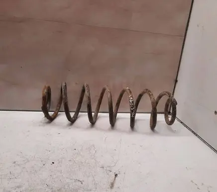 Skoda Roomster (5J) Rear coil spring