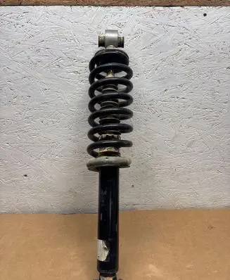 Peugeot 3008 II Rear shock absorber/damper 9842404480