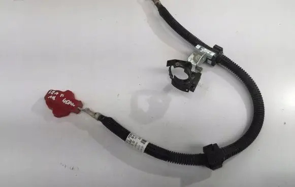 Nissan Leaf II (ZE1) Positive cable (battery) 241053NL0A