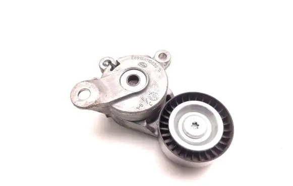 Volkswagen Golf V Alternator belt tensioner E6919A110520