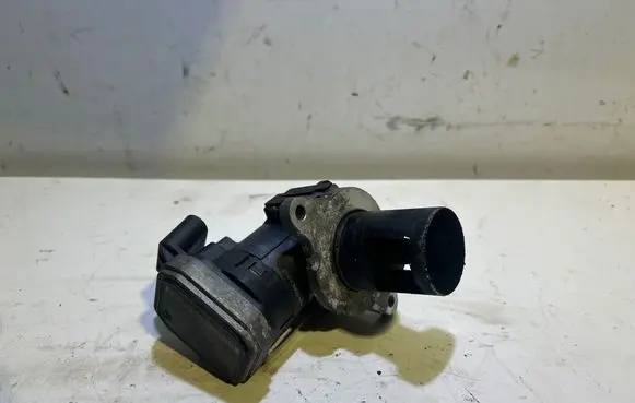 Mercedes-Benz C W203 EGR valve 00005320C5 AC5070920789 109315