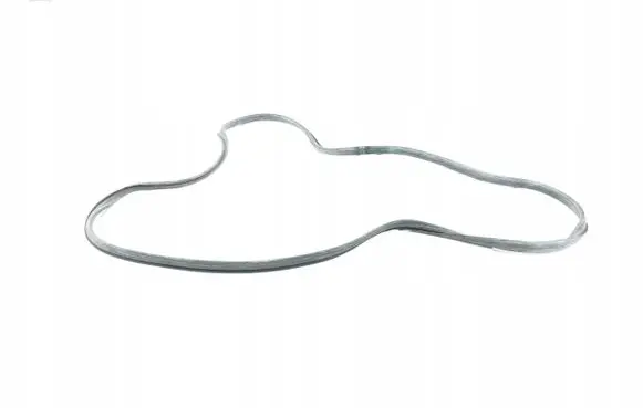 Fiat Ducato Sliding door rubber seal 5887593
