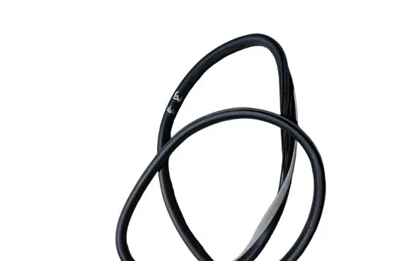Renault Talisman Rear door rubber seal (on body) 