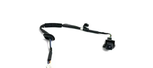 Honda e:Ny1 Reversing camera 3953031A 55655 3953031AH012M1