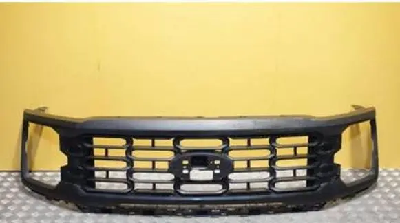 Ford F150 Front bumper upper radiator grill RL34-8200-AC5YZ9