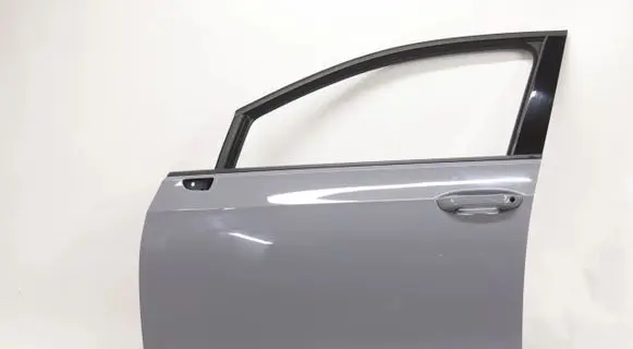 Volkswagen Golf VIII Front door 5785125
