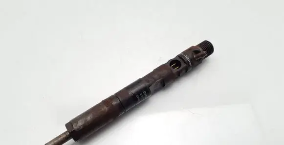Renault Clio III Fuel injector 166001137R H8200421897 28232251
