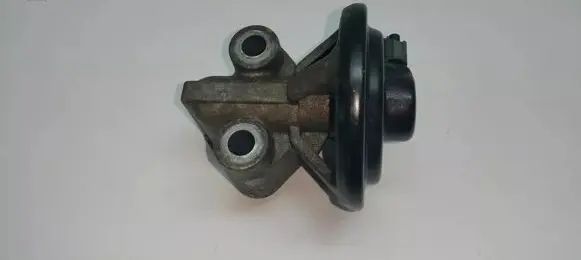Hyundai Santa Fe EGR valve 