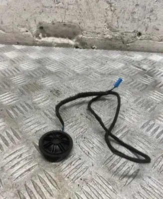 Front door high frequency speaker