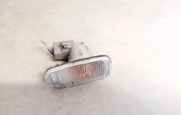 Front fender indicator light