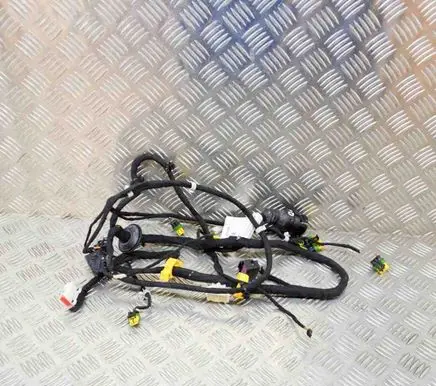 Front door wiring loom