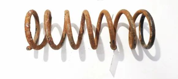 Rear coil spring