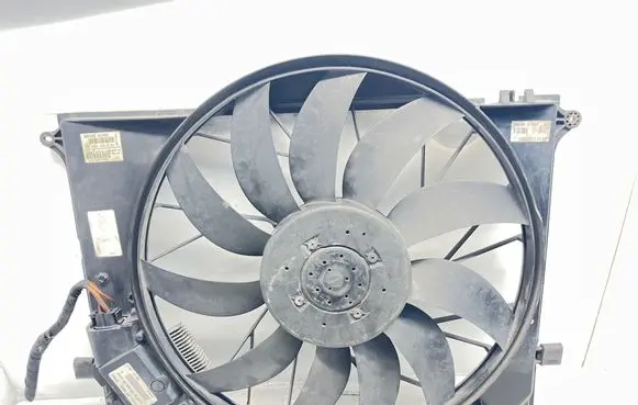 Mercedes-Benz S W220 Electric radiator cooling fan A2205000293