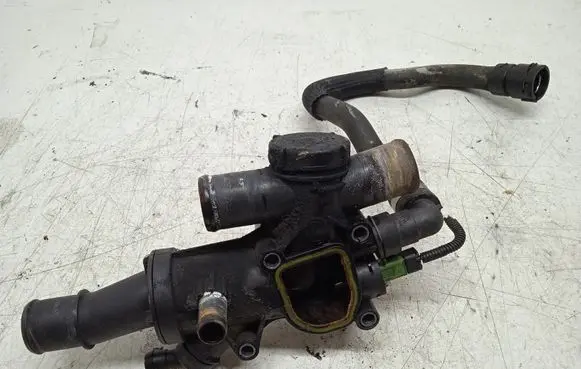Thermostat/thermostat housing