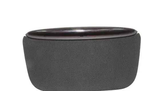 Mercedes-Benz CLS C219 Dash center speaker trim cover A2196890066 A2196890166