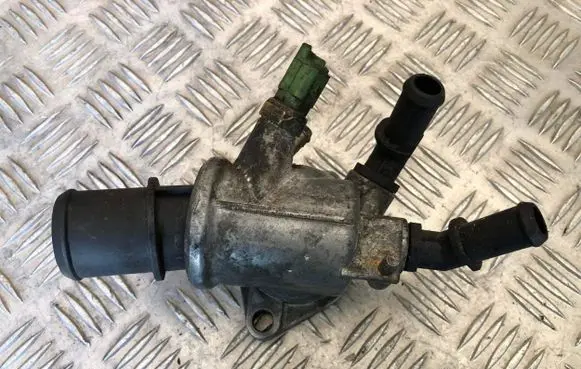 Opel Vectra C Engine coolant pipe/hose 55203388