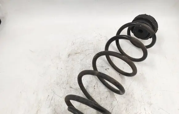 Rear coil spring