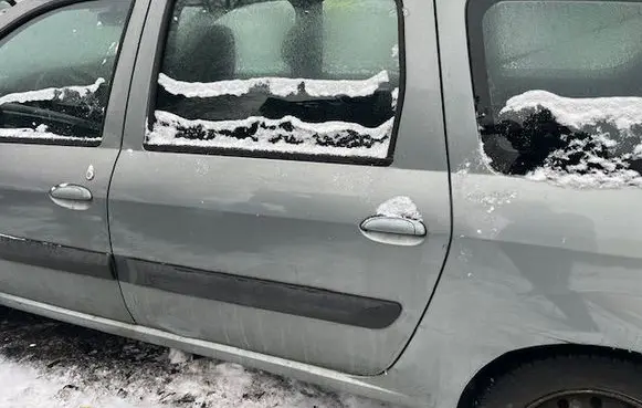 Dacia Logan I Rear door 