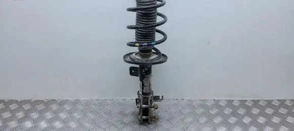 Peugeot 208 Front shock absorber with coil spring 9836033880