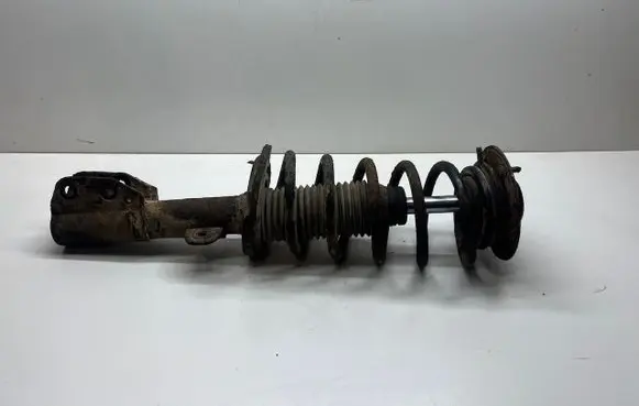 Chevrolet Captiva Front shock absorber/damper 