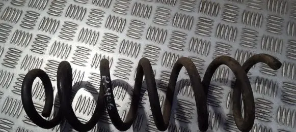 Peugeot 406 Rear coil spring