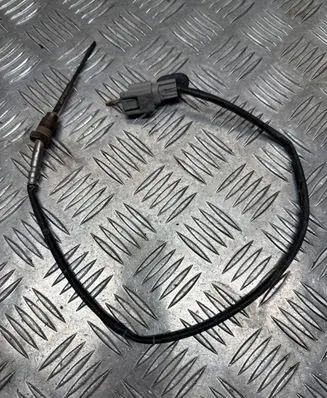 Nissan Qashqai Exhaust gas temperature sensor 226401632R 06S150881