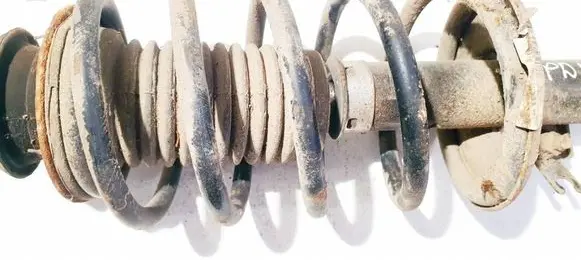 Chevrolet Aveo Front coil spring 