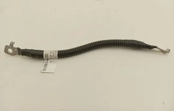 Hyundai Tucson IV NX4 Negative earth cable (battery) 91661P0100