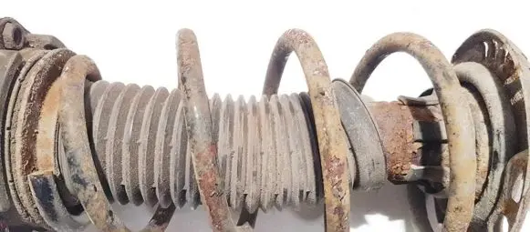 Volkswagen Golf V Rear coil spring