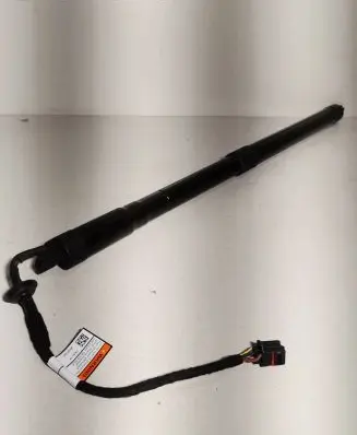 Tailgate strut