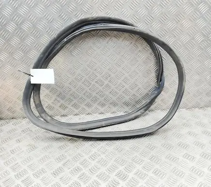 BMW 5 G30 G31 G38 Rubber seal front door (on door) 7468731