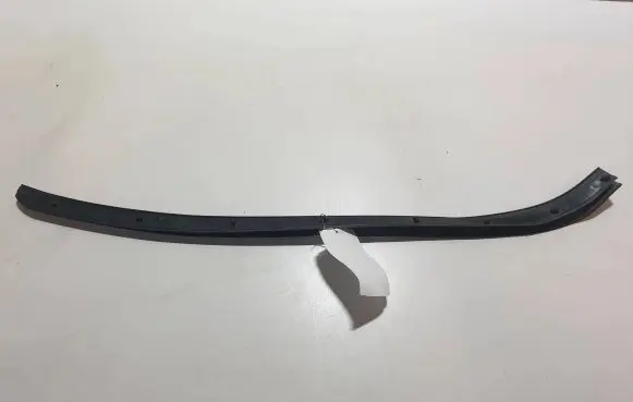 Ford Fusion II Rubber seal rear door DS73F28124