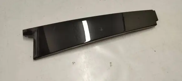 Rear door trim (molding)